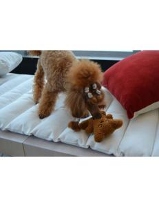 Hundleksak Teddy Rukka