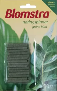 Blomstra Näringspinnar gröna växter