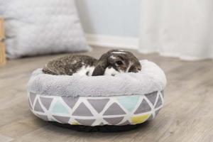 Bädd Bunny Cuddly Rund Plysch 35x13cm Multifärg