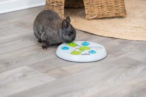 Aktivitetspel Slide & Fun Board, plast