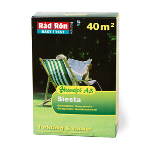 Gräsmattefrö Siesta