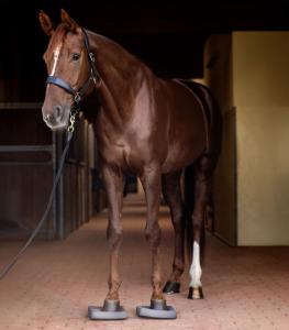 Balansplattor 1par Waldhausen Health + Care