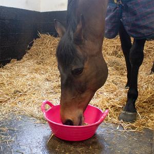 Hink Feed Skip Small