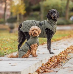 Hundtäcke Minot Quiltat Oliv