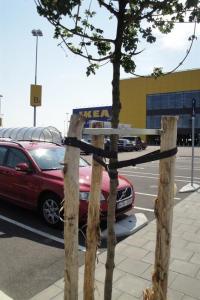 Stolpe Robinia 6*180cm