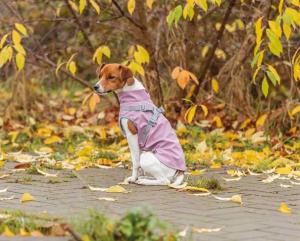 Hundtäcke Pontis Med Sele Reflex Rosa