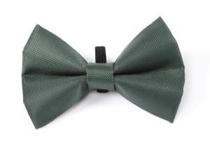 Hundfluga Digby & Fox Forest Green S