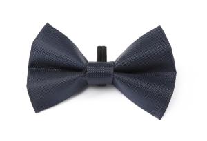 Hundfluga Digby & Fox Indigo