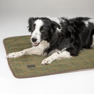 Hundfilt Digby & Fox Tweed