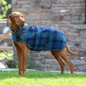 Hundtäcke Digby & Fox Navy Tweed