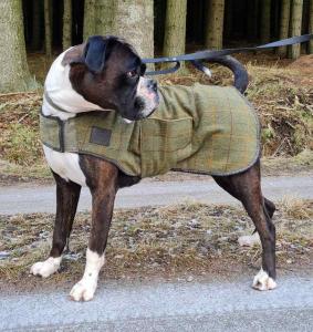 Hundtäcke Digby & FoxTweed/Läder