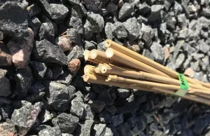 Bambupinne 75cm 10-p