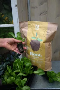 Root - Biohumus 4l