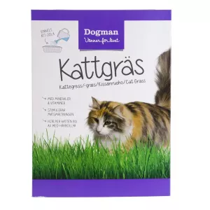 Kattgräs