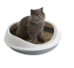 Kattlåda Figaro 55cm Öppen Grå