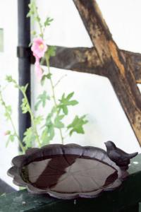 Fågelbad 22*3cm Järn Antikbrun