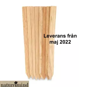 Bambu Raka etikett 20cm 10-p