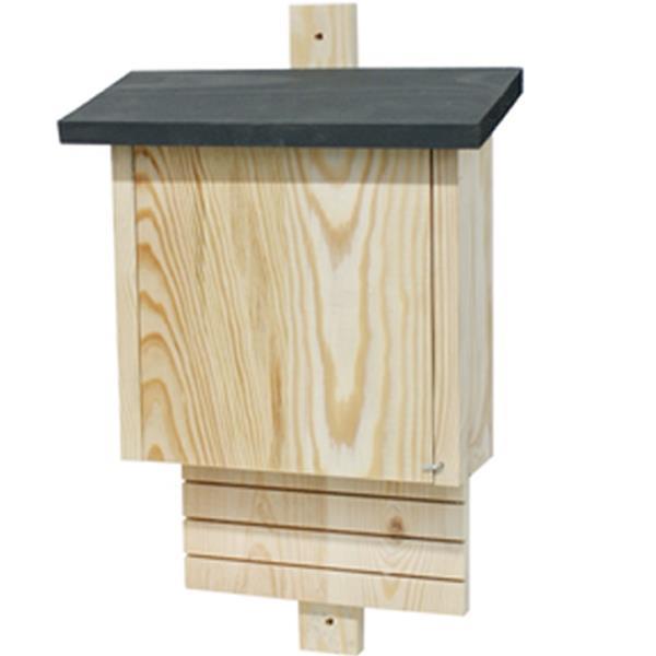 Fladdermushus Mörkt Tak