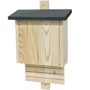 Fladdermushus Mörkt Tak