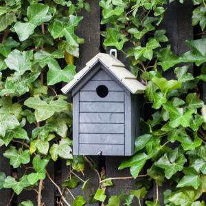 Fågelholk 32mm antracite