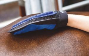 Groominghandske Svart/Blå