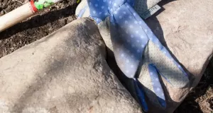 Trädgårdshandske Doris 6