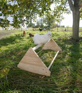 Sittpinne För Höns Trä 96x50x35cm