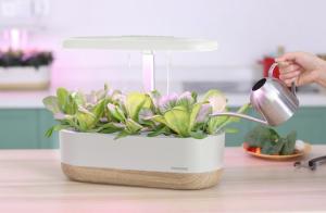 Odlingsset Urban Growing P10