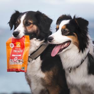 MUSH Treats Frystorkat Nöt 50g