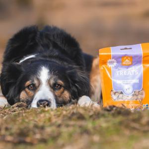 MUSH Treats Frystorkat Lamm 50g