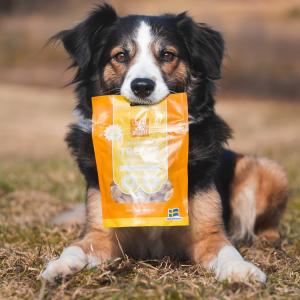 MUSH Treats Frystorkat Kycklinghjärta 50g