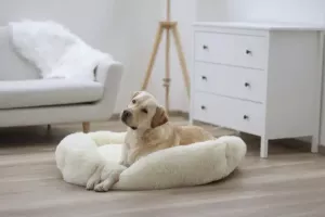 Bädd Snuggle Fluffy Cream