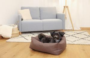 Bädd Cosy Bed Ely Brun/Beige