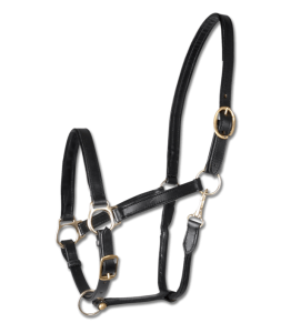 Lädergrimma "Star" Svart