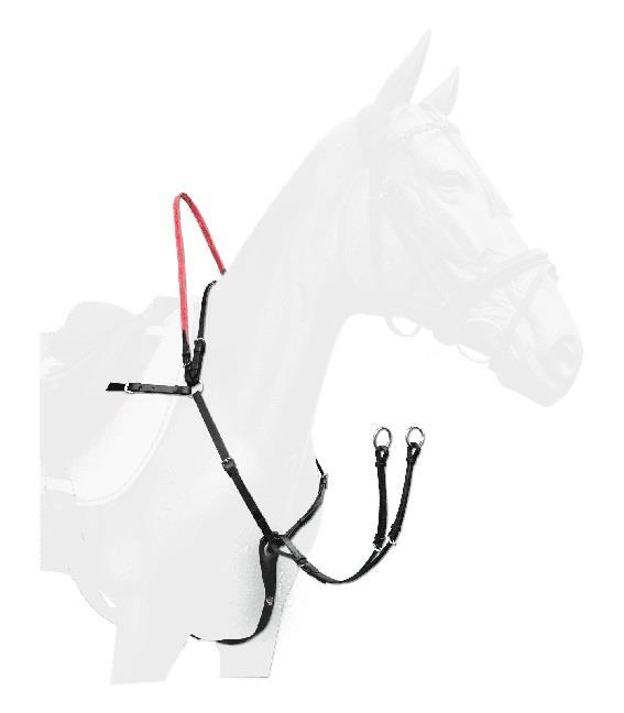 Förbygel Med Martingal + Handtag