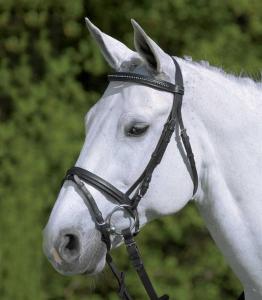 Träns Aachen Diamond Star Svart Shetland