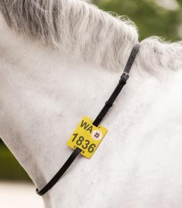 Halsrem Läder Svart