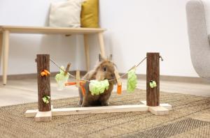 Foderlina Med Klämmor För Kanin