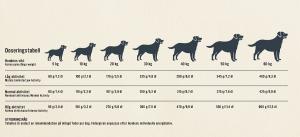 Carrier High-Energy Extreme Svart 15kg