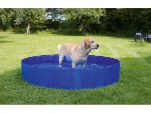 Hundpool 80cm