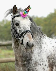 Unicorn-Horn Med Klämma Rainbow