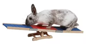 Agilityhinder "Vippbräda" 62x33x34cm