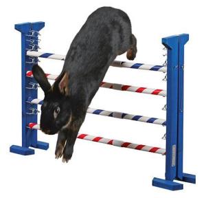 Agilityhinder Combo Jump 53cm -
