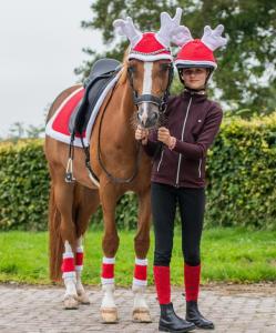 Renluva Till Ridhjälm QHP Röd