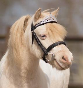 Krona Till Träns Silver