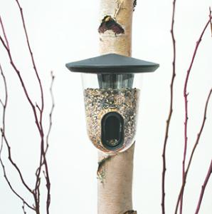 Fågelmatare Frö sv 17,5x19cm