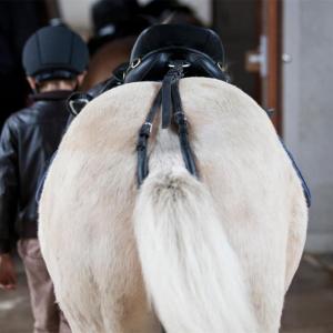 Svanskappa Läder Hansbo Svart Full