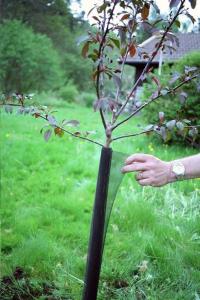 Stamskydd 1D 110cm 2-p