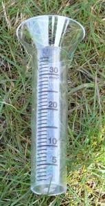 Glas till regnmätare Kronblom