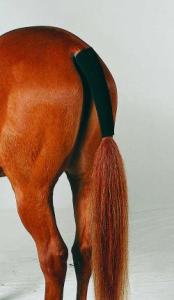 Svansskydd Neoprene Svart